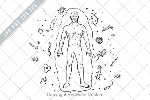 Download Human Attacked by Virus Bacteria Drawing - Man Collection